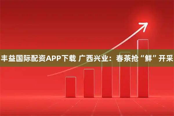 丰益国际配资APP下载 广西兴业：春茶抢“鲜”开采