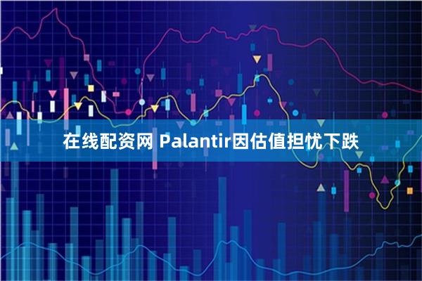 在线配资网 Palantir因估值担忧下跌