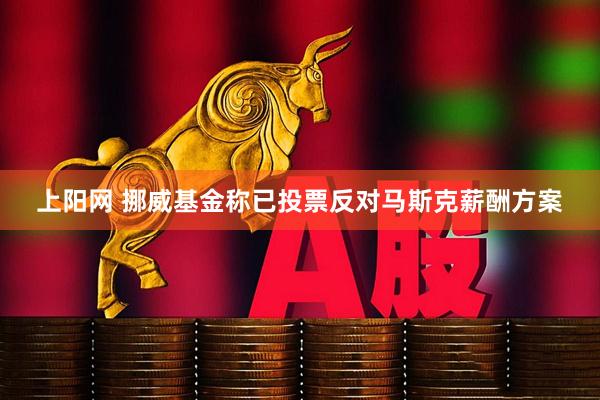 上阳网 挪威基金称已投票反对马斯克薪酬方案
